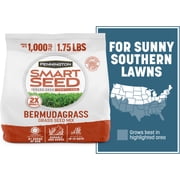 Pennington Smart Seed Bermudagrass Grass, Bermuda Grass Seeds for Lawn, Full Sun, 1.75 lb