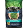 thumbnail image 1 of Pennington Smart Seed Fescue/Bluegrass Mix, 3 lb, 1 of 6