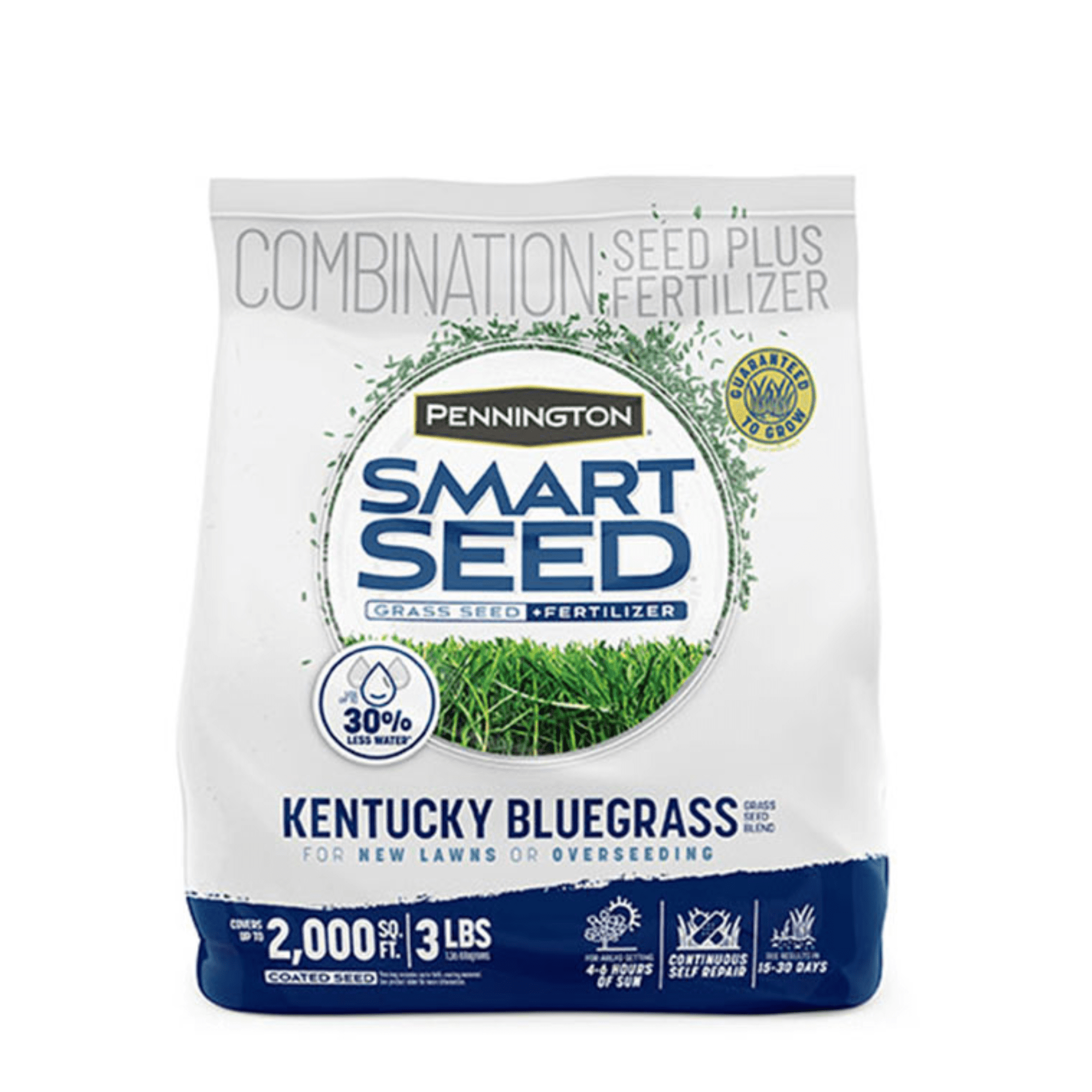 Pennington Smart Seed Kentucky Bluegrass Grass Seed Mix, for Sun to