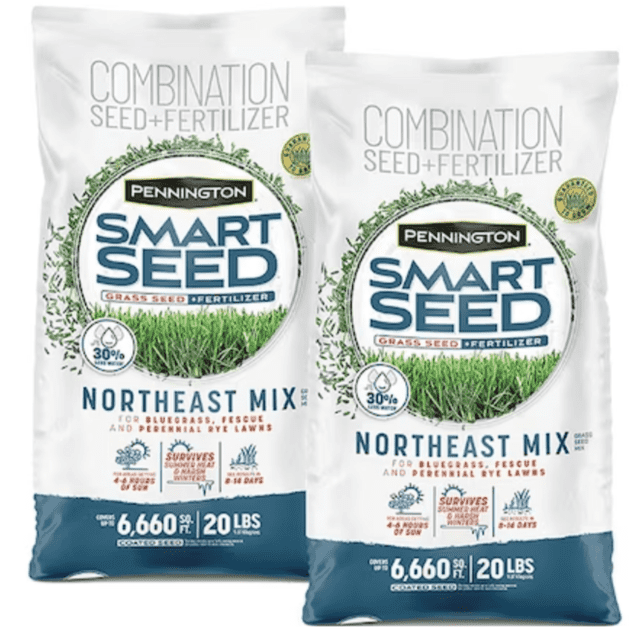 Pennington Smart Seed Northeast Mix, Premium Kentucky Bluegrass & Fine