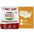 thumbnail image 1 of Pennington Smart Seed Perennial Ryegrass Grass Seed, for Full Sun, 3 lb., 1 of 19