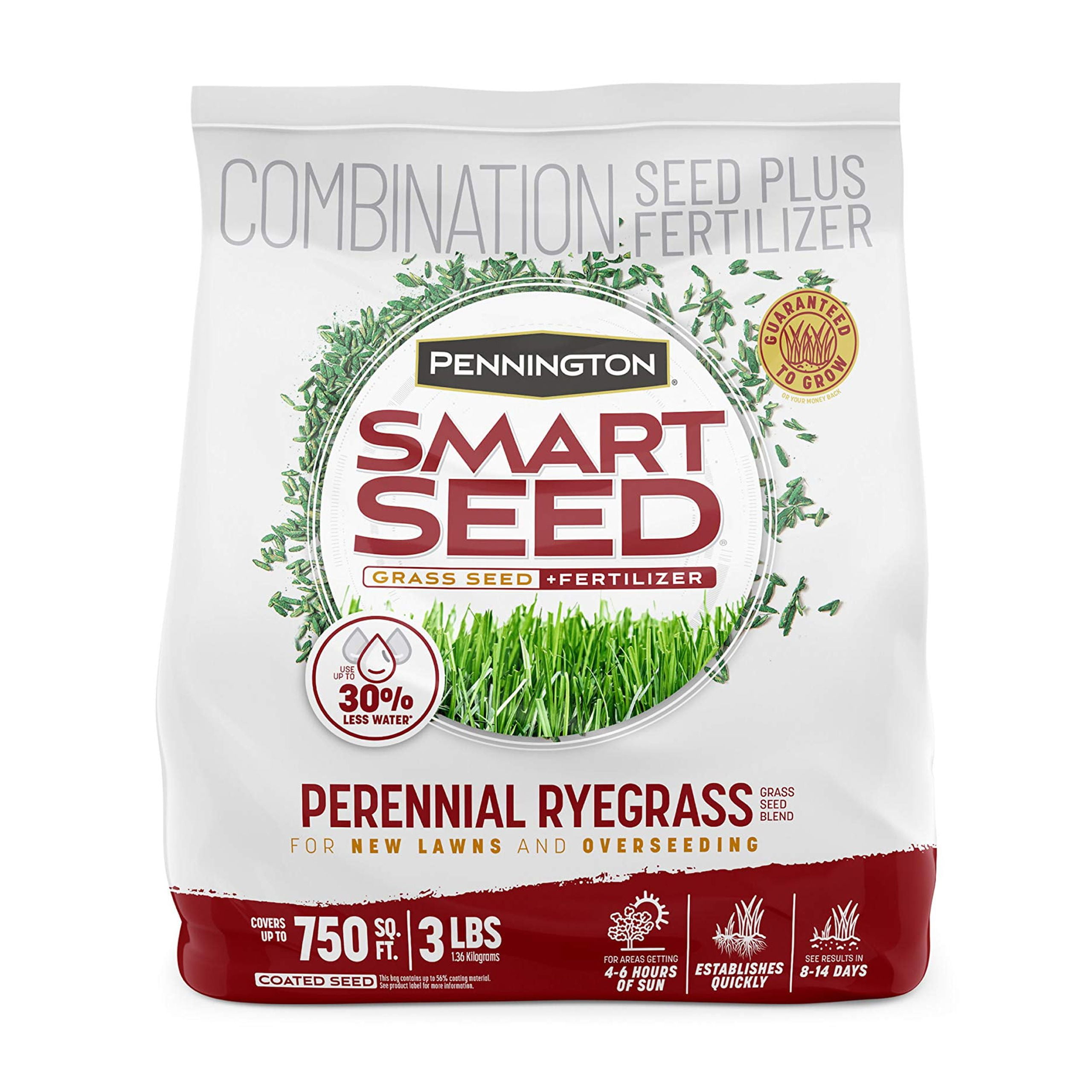 Pennington Smart Seed Perennial Ryegrass 3 lb ITL1