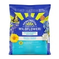 thumbnail image 1 of Pennington Wildflower Texas Garden Mix 32 Ounces, 1 of 11