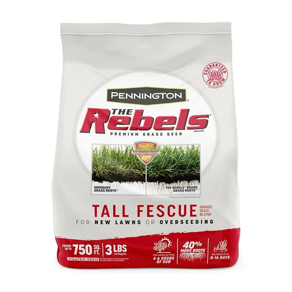 Pennington The Rebels Tall Fescue Grass MTN1&nbsp;Seed Mix 3 lb