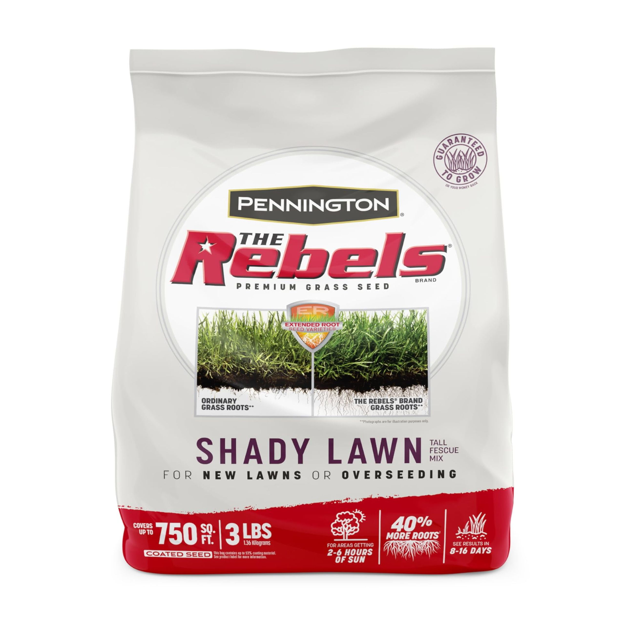 Pennington The Rebels Tall Fescue Shady NSD3&nbsp;Grass Seed Mix 3 lb
