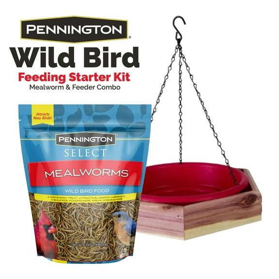 Pennington Wild Bird Starter Kit with Cedar Tray Bird Feeder Birdbath and 17.6 oz Mealworms