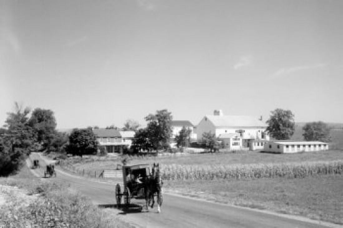 Pennsylvania Amish carriages Canvas Art - (24 x 36)