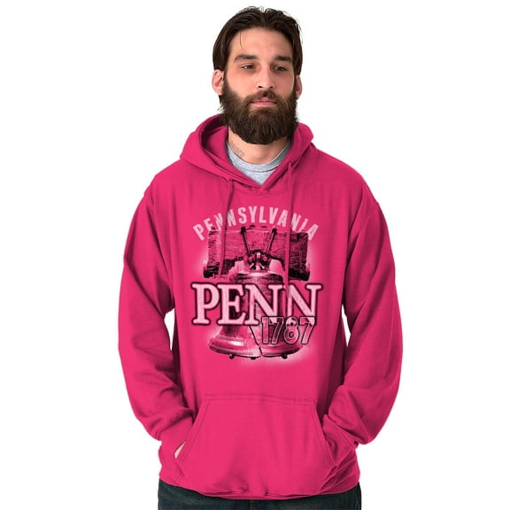 Pennsylvania Iconic Liberty Bell Penn Unisex Plus Fleece Graphic Hoodie Brisco Brands 2X