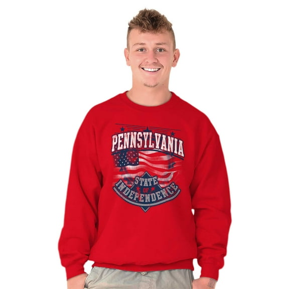 Pennsylvania Patriot PA American Flag Sweatshirt for Men or Women Brisco Brands S