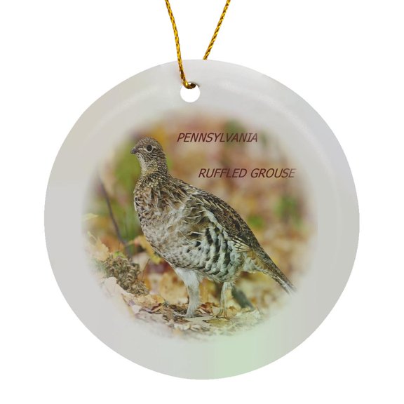 3drose, Pennsylvania State Bird Ruffled Grouse, Circle Porcelain Ornament