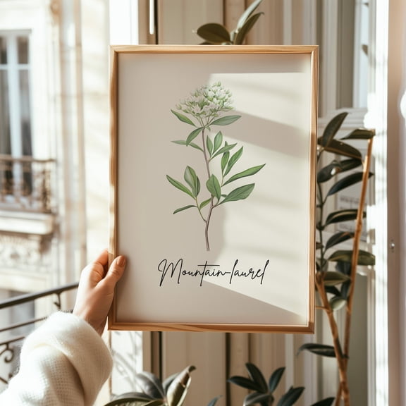 Pennsylvania State Flower : Mountain Laurel Line Art Unframed Paper Print