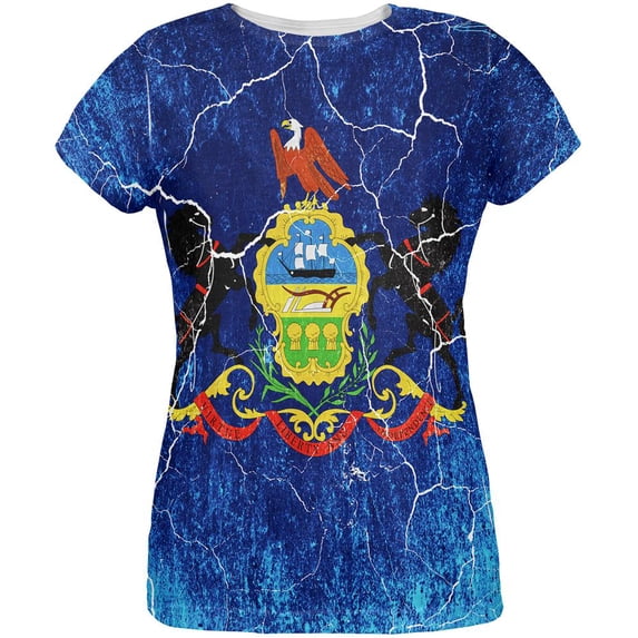 Pennsylvania Vintage Distressed State Flag All Over Womens T Shirt Multi MD