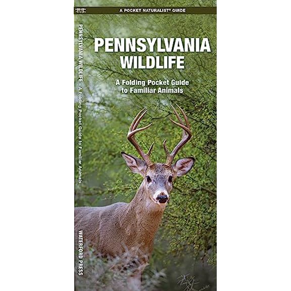 Pre-Owned Pennsylvania Wildlife (Paperback) by James Kavanagh, Waterford Press