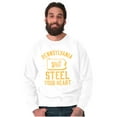 thumbnail image 1 of Pennsylvania Will Steal Your Heart Unisex Plus Fleece Graphic Sweatshirt Brisco Brands 2X, 1 of 5