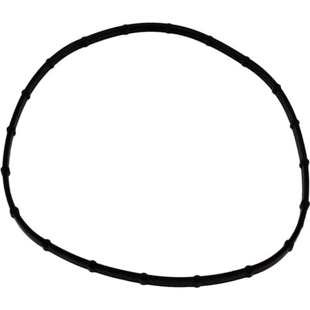 Pentair 05101-0002 Gasket Replacement Sta-Rite Sunsaver Pool and Spa Light