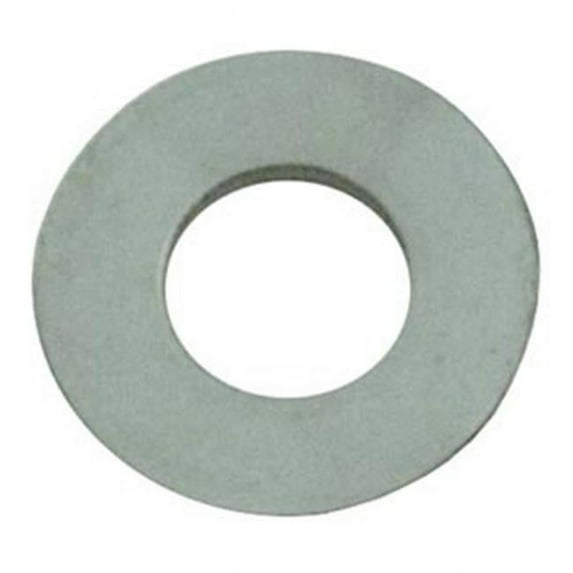 Pentair 072173 Stainless Steel Flat Washer for Pool or Spa Filter and Pump