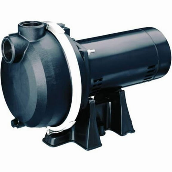 Pentair 123341 1.5 Horse Power Master Plumber Sprinkler Pump