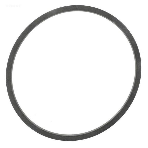 Pentair 14962-0021 1.5" Buna N Top Mount Multiport Valve Square O-Ring