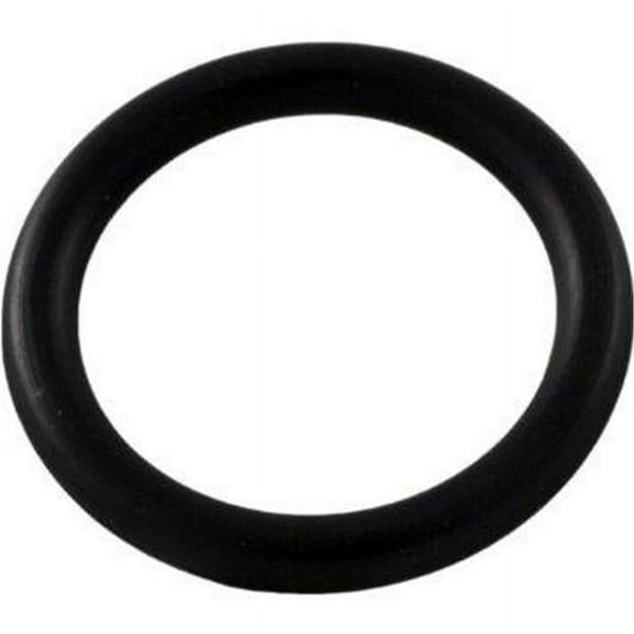 Pentair 14971-SM10E10 O-Ring Replacement Sta-Rite MultiPort Pool and Spa Valve