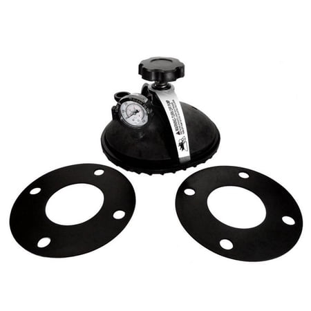 Pentair 156841 Oval Closure Replacement Kit Triton C-3 Pool and Spa Commercial Filter
