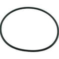 thumbnail image 1 of Pentair 16920-0012 O-Ring Replacement for Pentair Plastic Suction Trap Assembly, 1 of 3