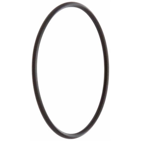 Pentair 192323 O-Ring Replacement Pool/Spa D.E. Filter and Pump