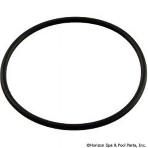 Pentair 192323 O-Ring Replacement Pool/Spa D.E. Filter and Pump