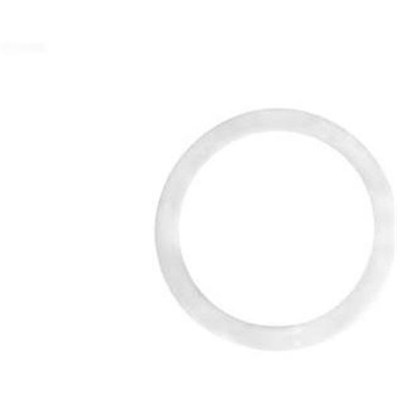 Pentair 195004 Polyethylene Washer