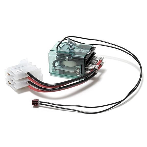 Pentair 20 AMP DPSP Relay Kit RLYLX