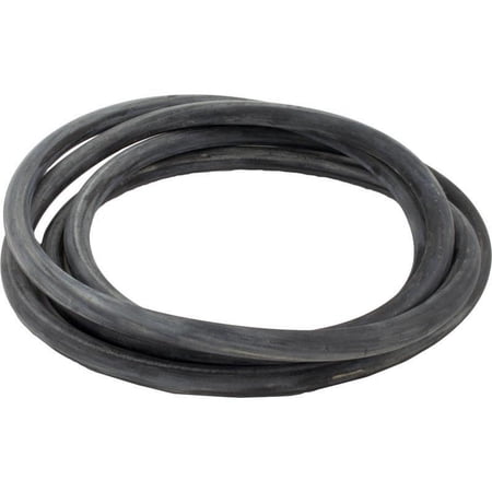 Pentair 24751-0006 O-Ring Replacement Sta-Rite Pool or Spa Filter