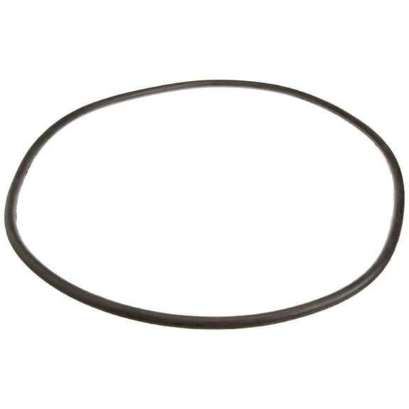 Pentair 24850-0008 21" Cord O-Ring for Tank Pool or Spa Filters