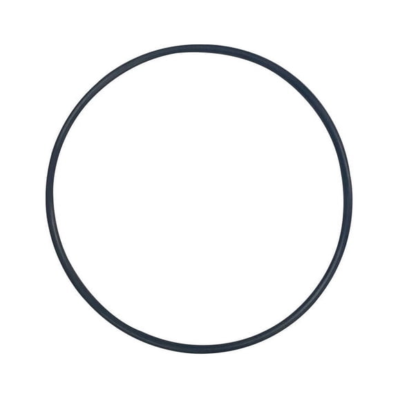 Pentair (263042Z) O-Ring Replacement Only For Check valve Assembly || O-248
