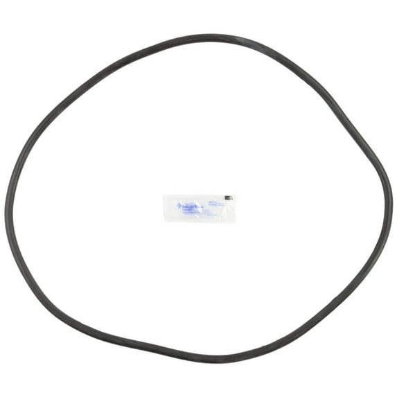 Pentair 27001-0061S Body O-Ring for Tank Replacement for select Sta-Rite Pool and Spa Filters