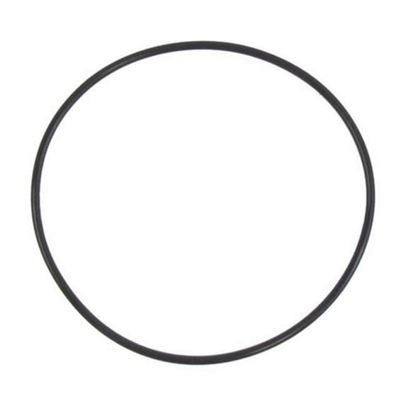 Pentair 270116Z O-Ring 2-248 Buna-N