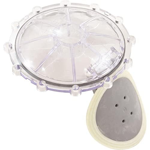 Pentair 270119Z Flap Replacement Kit, Check Valve