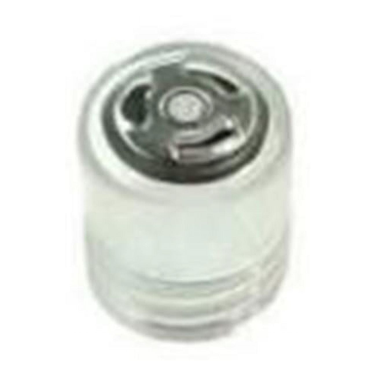 Pentair 272550 Sight Glass with Vacuum Projector - Walmart.com