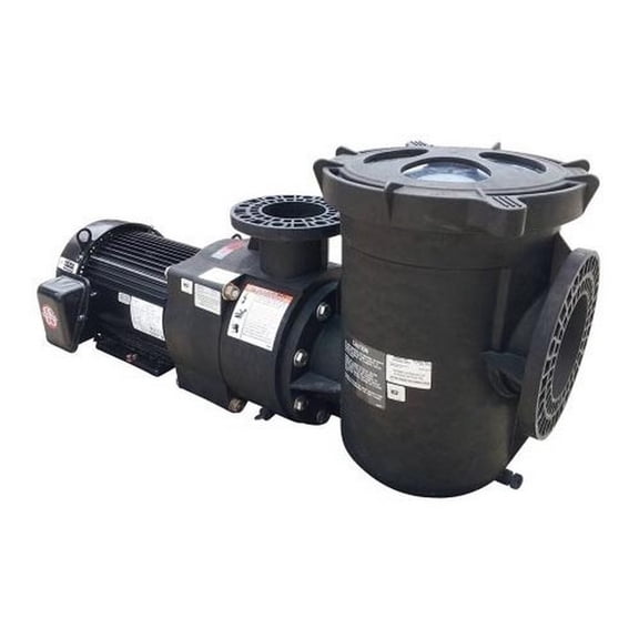 Pentair 340605 EQ Series Pump Without Strainer TEFC Motor