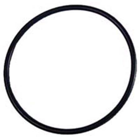 Pentair 350013 Challenger Cover O-Ring