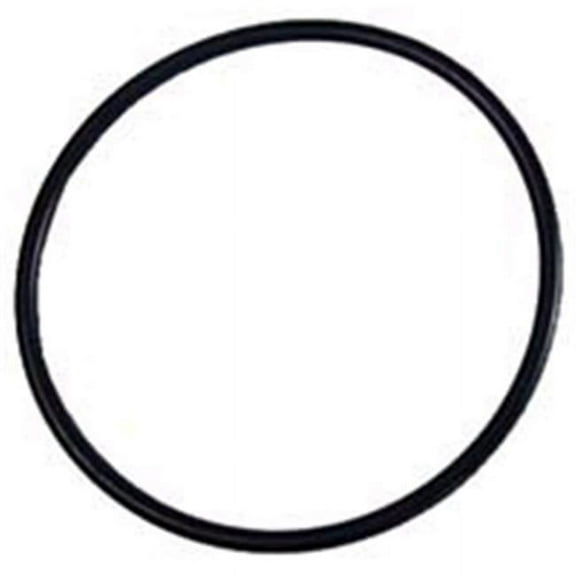 Pentair 350013 Challenger Cover O-Ring