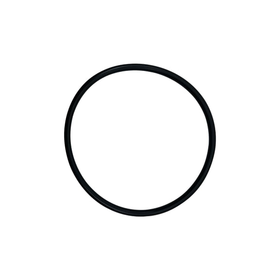 Pentair (350013) Pot Flange O-Ring EQ Series || O-318-BAGGED