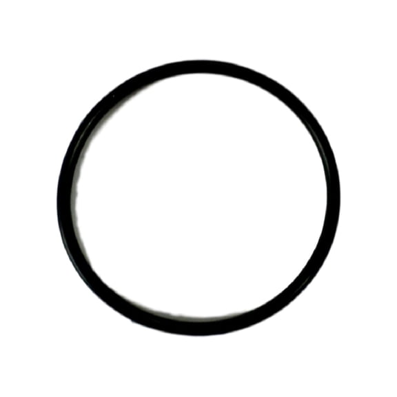 Pentair 42001-0402 2" Single PVC Oring Replacement ONLY O-Ring Pool U11-196PS