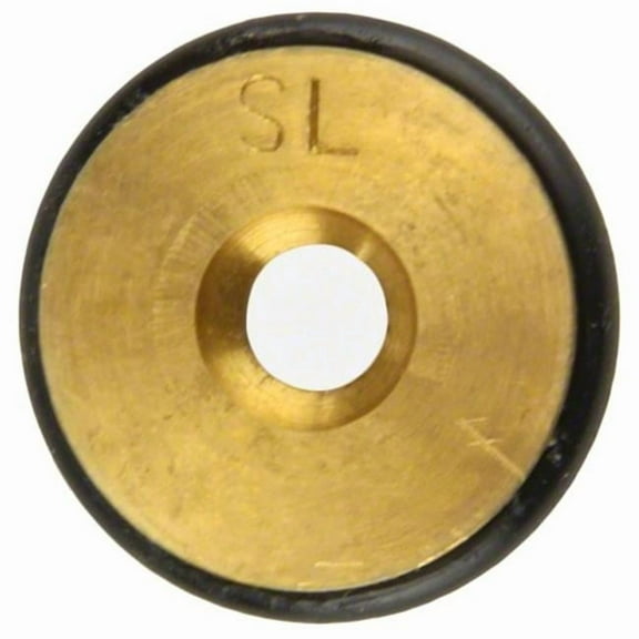 Pentair 460755 Natural to Propane Gas Conversion Replacement Kit 250 Pool and Spa Heater