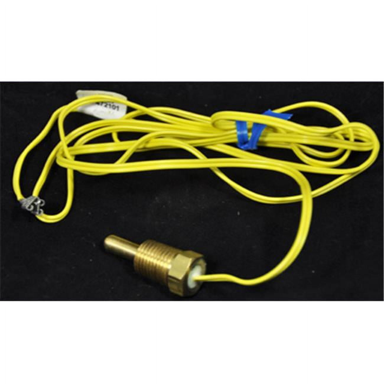 Pentair 472101 Complete Millivolt Probe Thermistor Replacement MiniMax ...