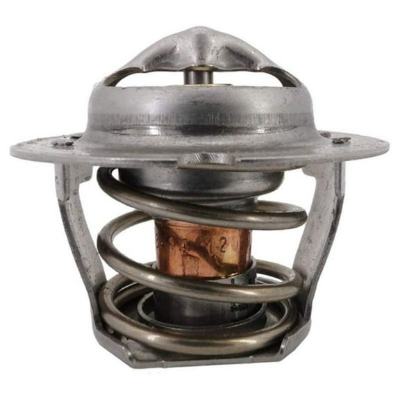 Pentair 474989 MasterTemp 125 Thermal Regulator