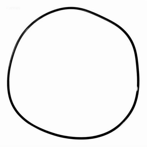 Pentair 59021000 50-Shore Neoprene O-Ring Replacement Pool or Spa Filter