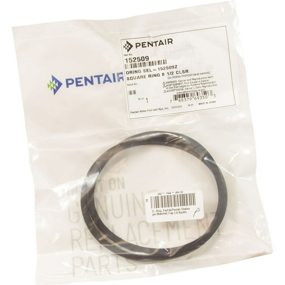 Pentair 152509 Triton Closure Square Ring