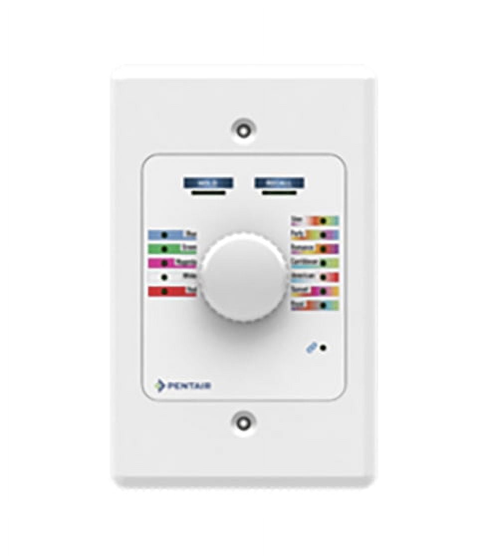 Pentair 618031 IntelliBrite Waterproof Outdoor LED Color Pool Spa Light