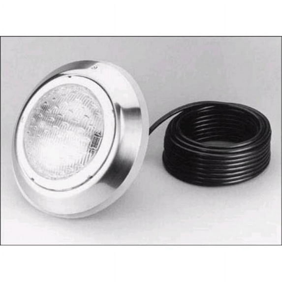 Pentair 78864200 Aqualumin II Nicheless Light 250 Watt, 110 Volt, 50 Ft. Cord