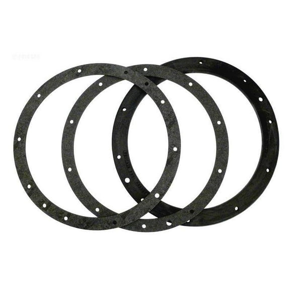 Pentair Gasket Set with Double Wall Gasket 79200700