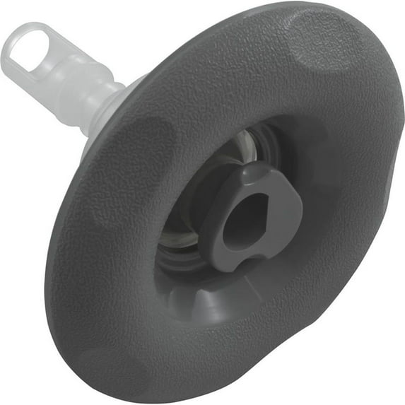 Pentair 9847WW 4.12" FD Cyclone Luxury Swirl 5 Scallop Jet Internal - Dark Gray